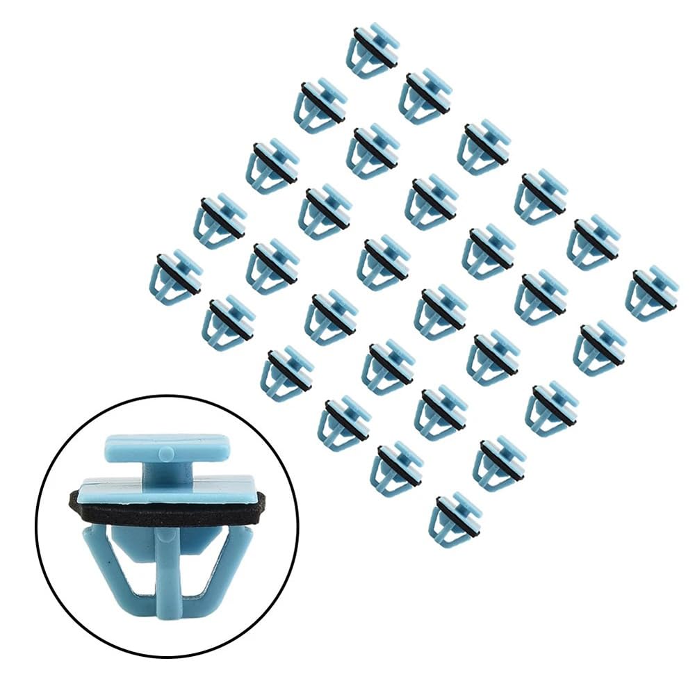 Viviance Türverkleidung Clips 100 Stück - Kompatibel Mit Hyundai Santa Fe & Kia Sportage