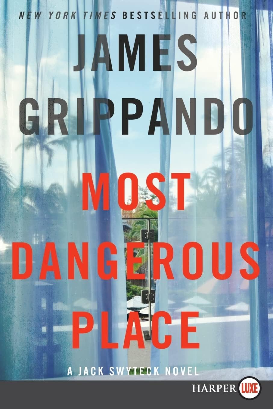 Most Dangerous Place [Large Print]