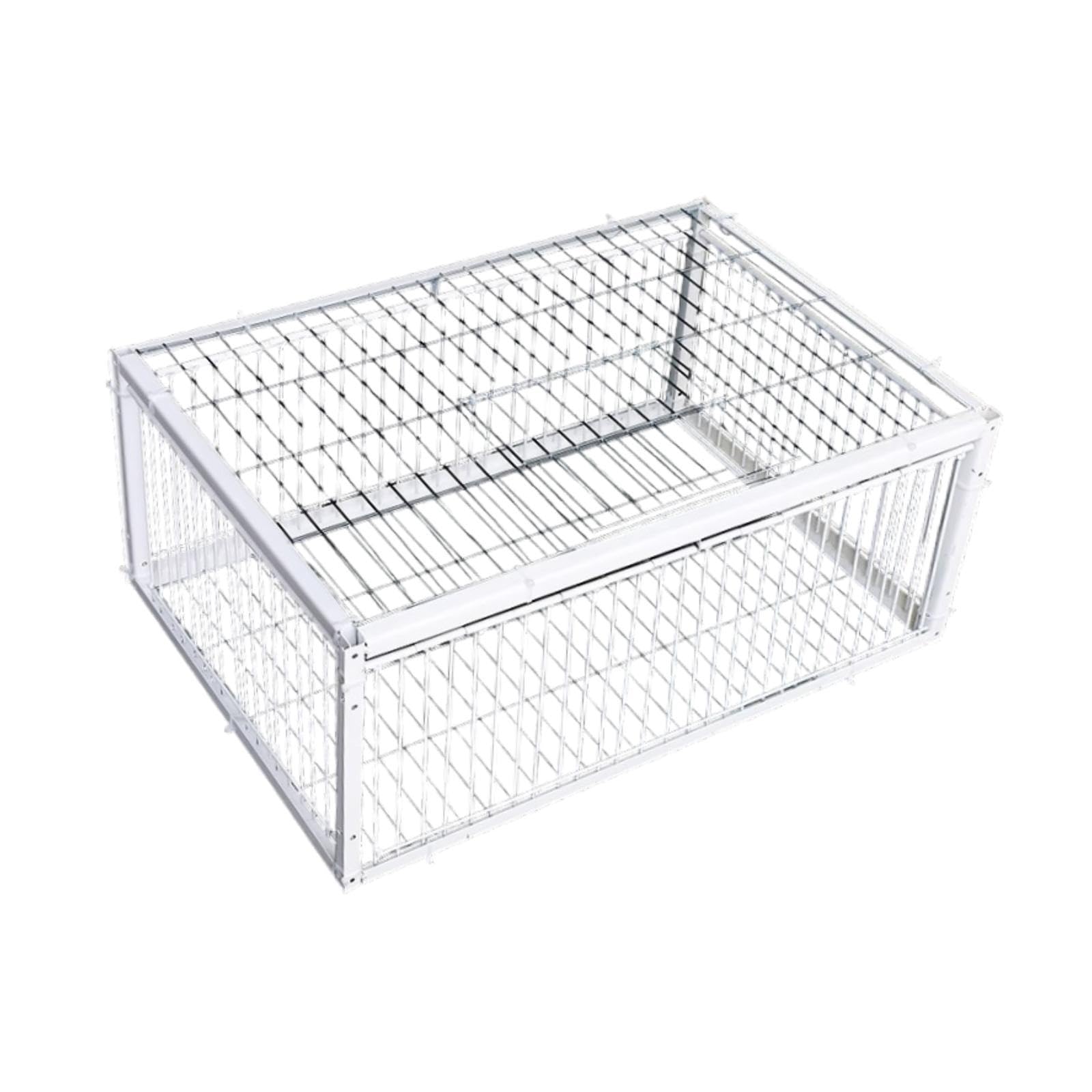 CALANDIS Pigeon Trap Cage Portable Single Way Entry Door for Orchards Chicken Gardens S