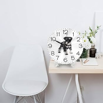 Amazon.co.jp: ミニチュア・シュナウザー 子犬 (1) 掛け時計