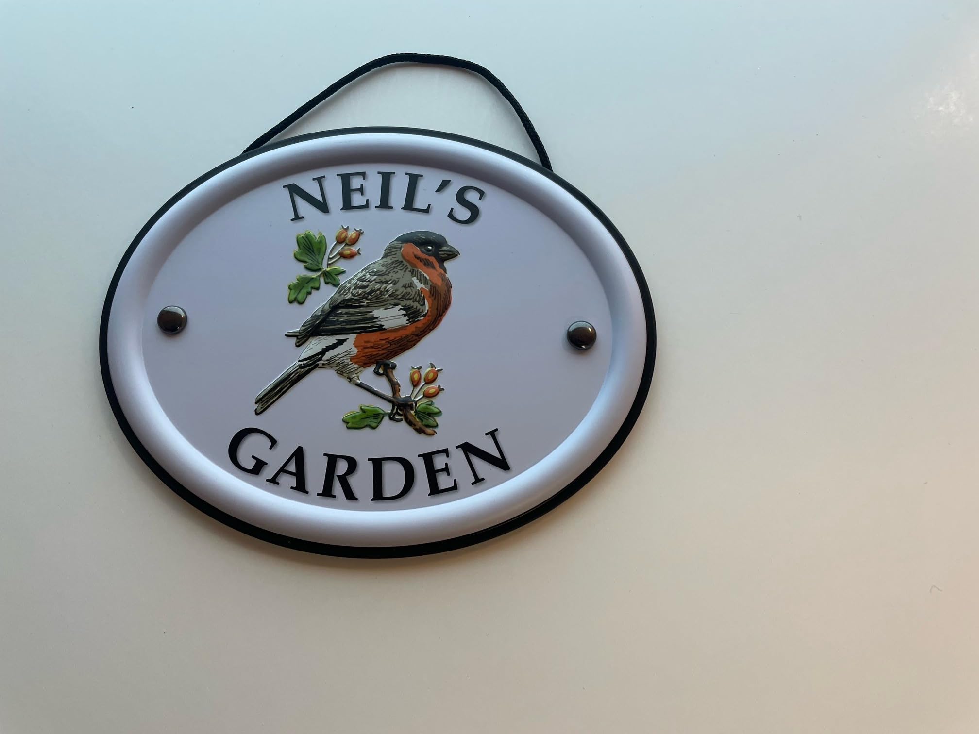 Personalised Embossed Metal Garden Sign 12x15cm – British Bird Design – Outdoor Decorative Hanging Garden Plaque – Weatherproof Metal Sign for Garden Walls Fences or Sheds (Neil)