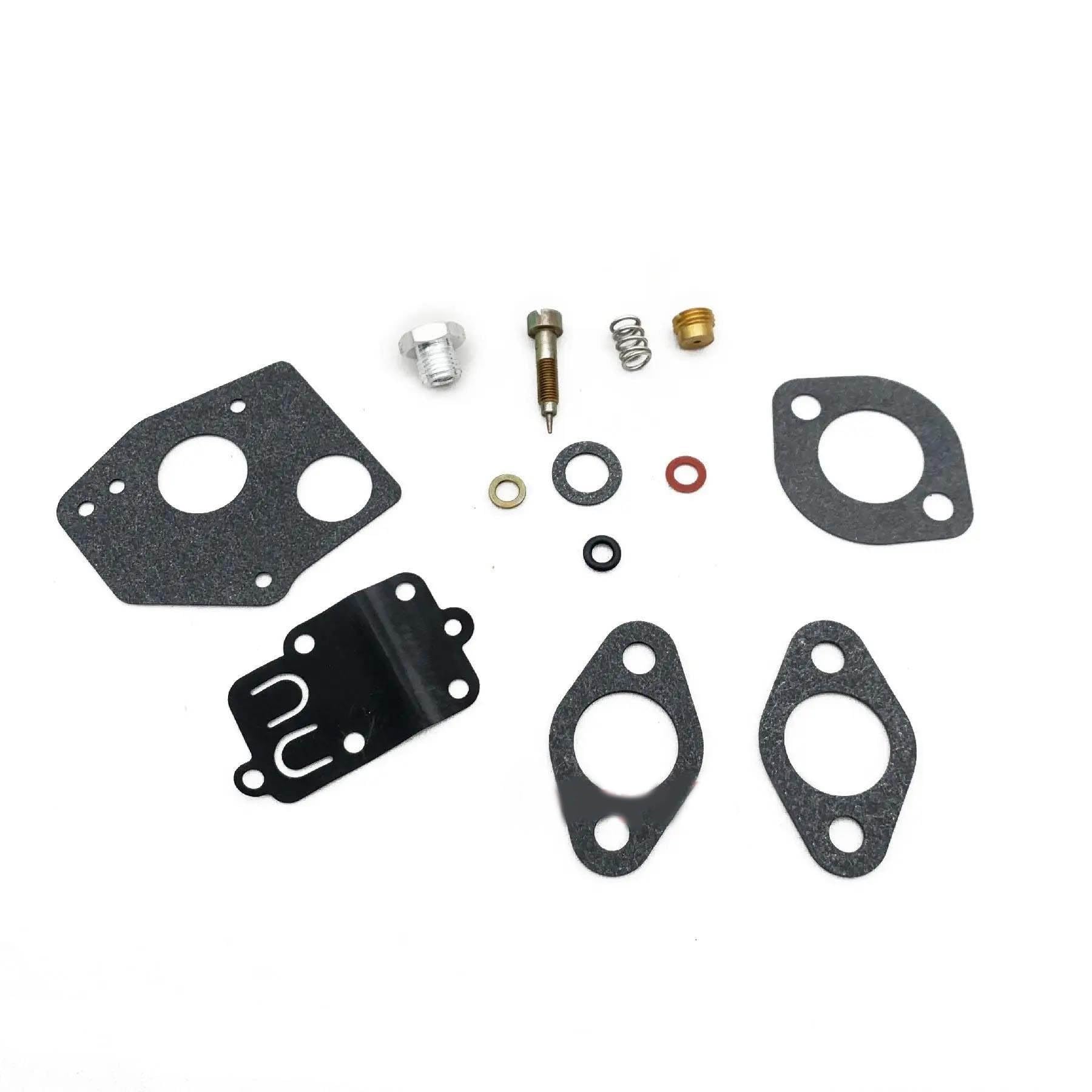 Kit reconstruction de carburateur Briggs Stratton 495606 moteur 80200