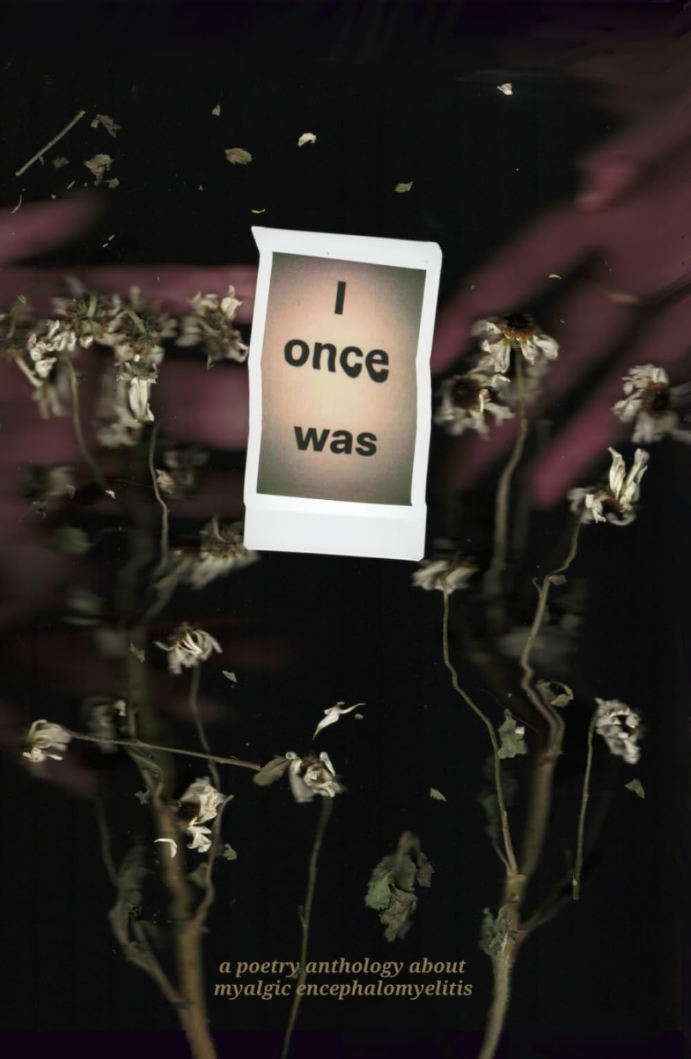 I Once Was: A Poetry Anthology About Myalgic Encephalomyelitis