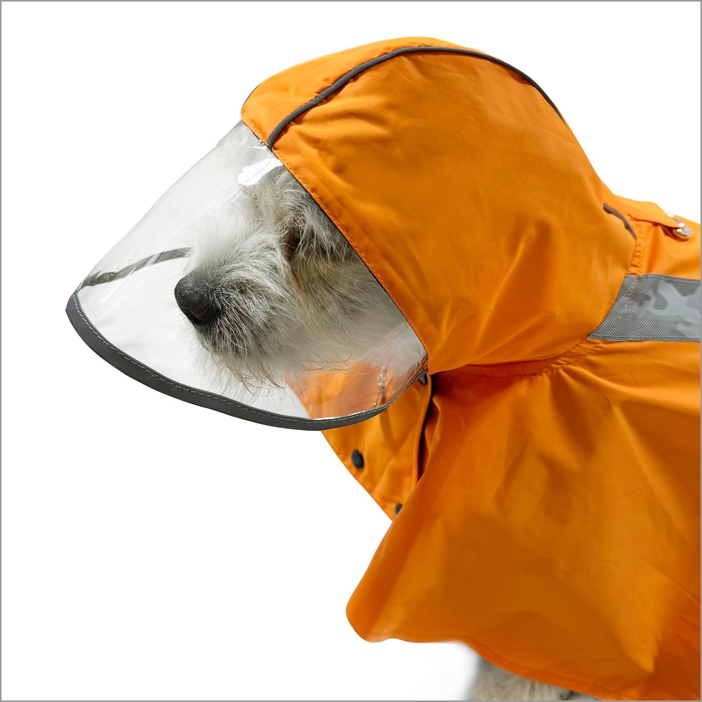 Klippo - Clear View Poncho Raincoat with Reflective Stripes for Small Dogs/Puppies (Large)