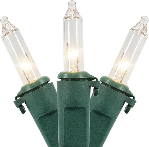 Juego de 100 mini luces navideñas transparentes, cable verde de 20.25 pies