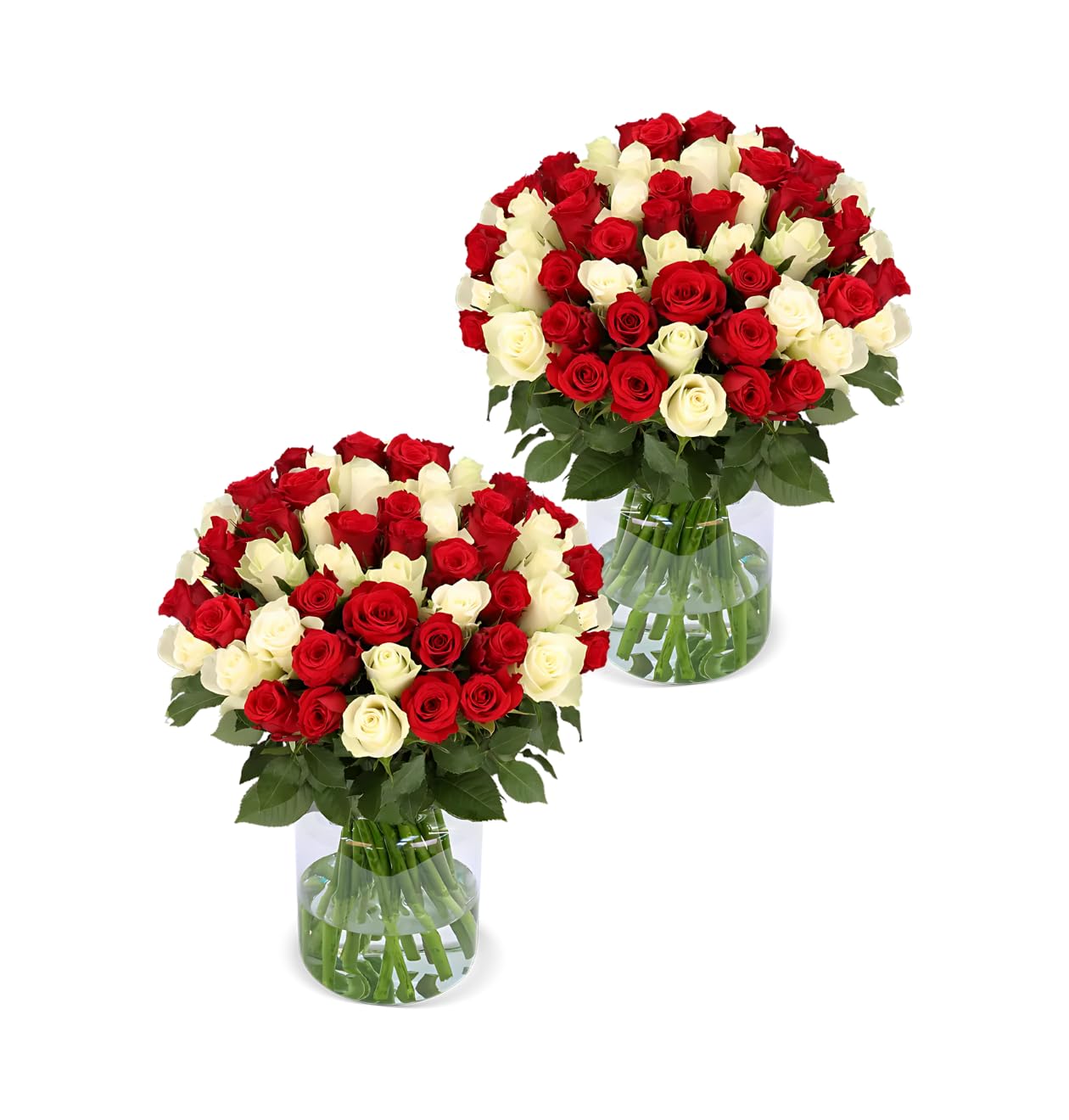 Blume Ideal Rosenstrauß - Rosen in verschiedenen Farben und Mengen - Ø 40–50 cm - Echte premium Blumen für Hochzeit & Deko - 7 Tage Frischegarantie