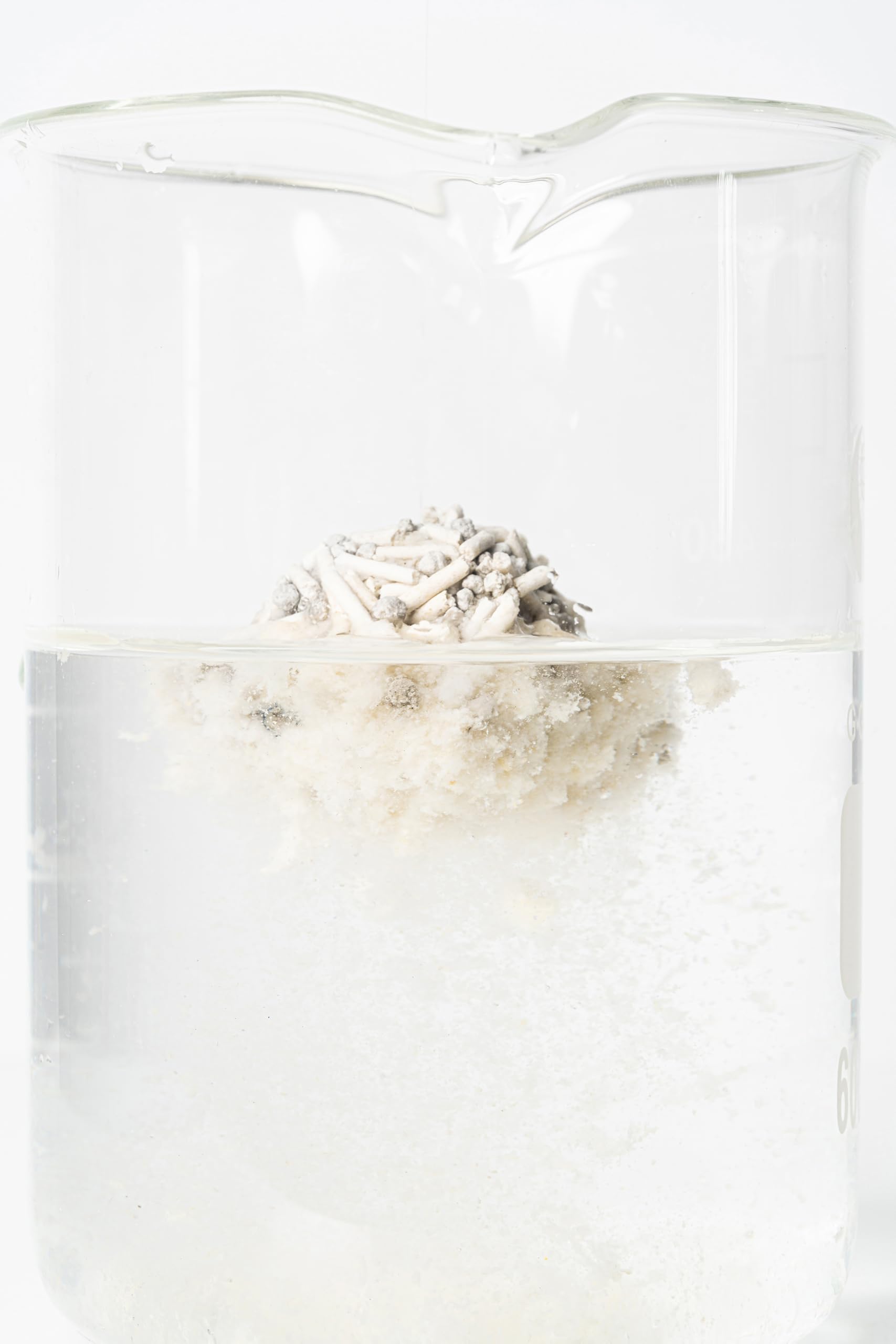pidan Mezcla de Arena de Tofu para Gatos (Bolsa de 4 x 2,4 kg/6 L) 100% Natural sin Perfume con bentonita, aglutinación Extra Fuerte, Recogida sin Esfuerzo, desechable, Control de olores de Larga