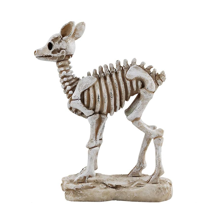 ひ*様 激レア美品　鹿の骨 鹿の骨格標本出品してます | 気まぐれハンター日記