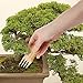 BambooMN Bonsai Tree Pruning Trimming Starter Tool Kit - Leaf Trimmers, and Bamboo Rake - 1 Set