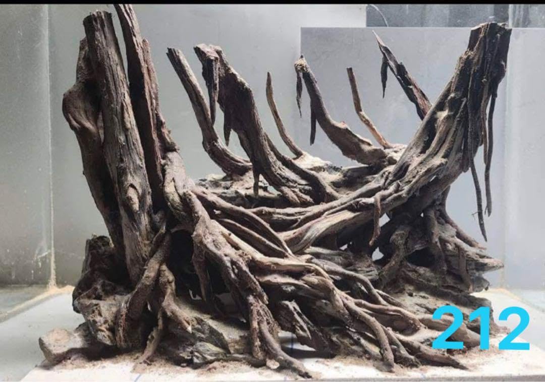 Amazon.co.jp: 流木 ブランチウッド 流木アクアリウム パルダリウム