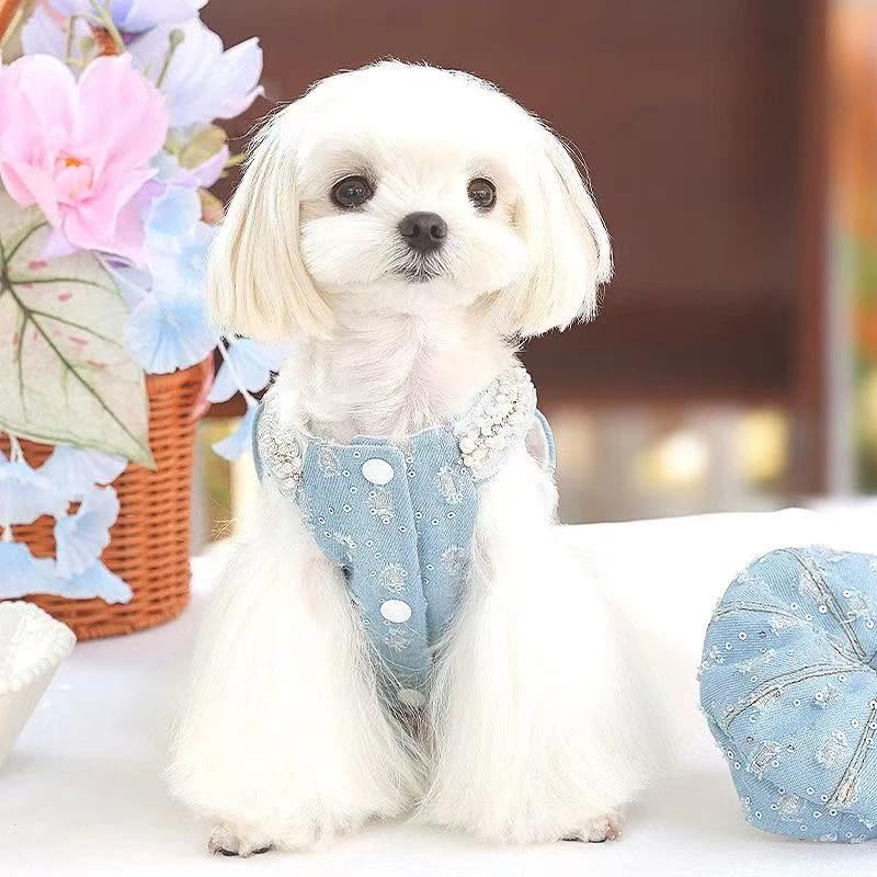 Robe en jean pour chien sans manches facile à enfiler - 6