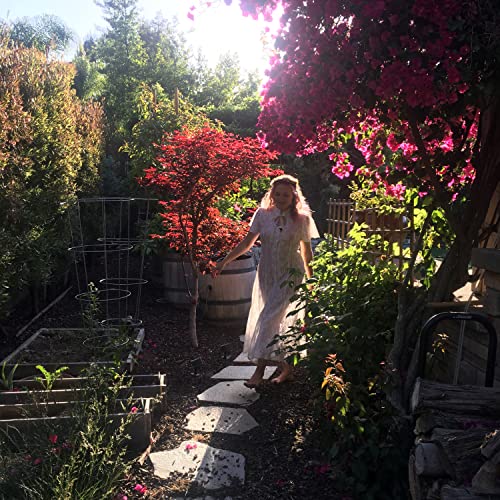 Amazon MusicでAnnie JayのTime and Spaceを再生する