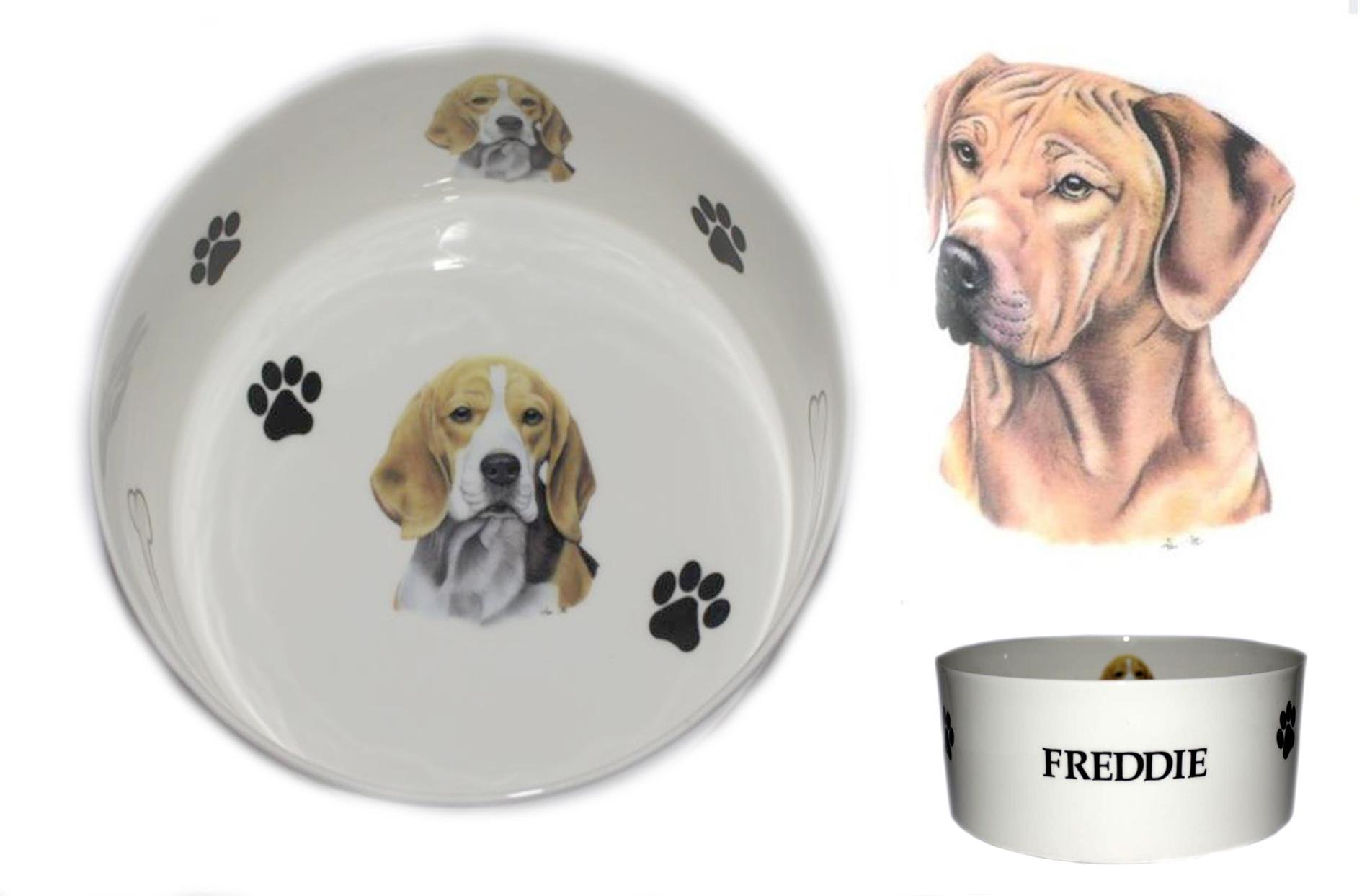 (BB50) Bone China Personalised Rhodesian Ridgeback dog food/water pet bowl decorated with PAWPRINTS AND BONES, Personalised with name of your choice- Many dog breeds available. Fun, colourful, new pet bowls.
