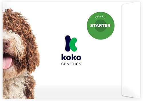 Prueba de ADN Koko para perros Starter - (Informes de razas y rasgos) - Actualizaciones sin costo
