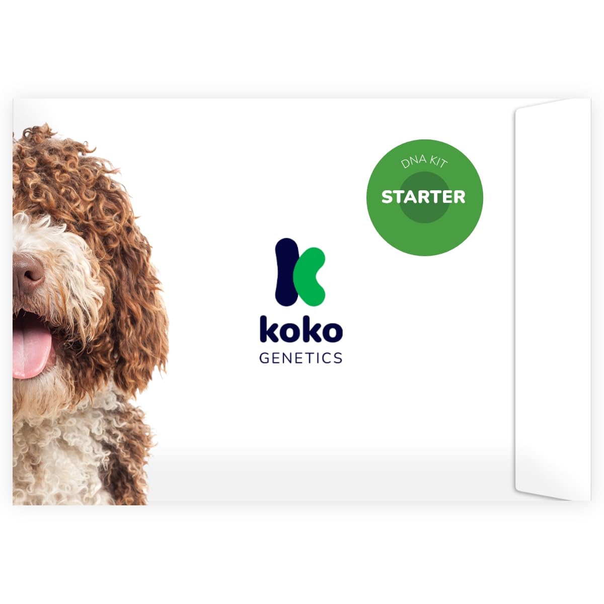 Koko Genetics Starter DNA Test for Dogs, Analyzes & Identifies 415+ Breeds and Offers 25+ Genetic Traits and Family Tree Reports, Lifetime Updates Included