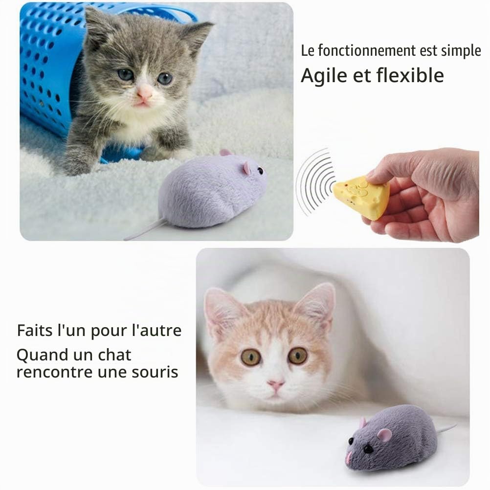 Souris Telecommande pour Chat, Souris en Peluche Electrique avec Télécommande à Fromage, Jeu Chat Jouet De Chat