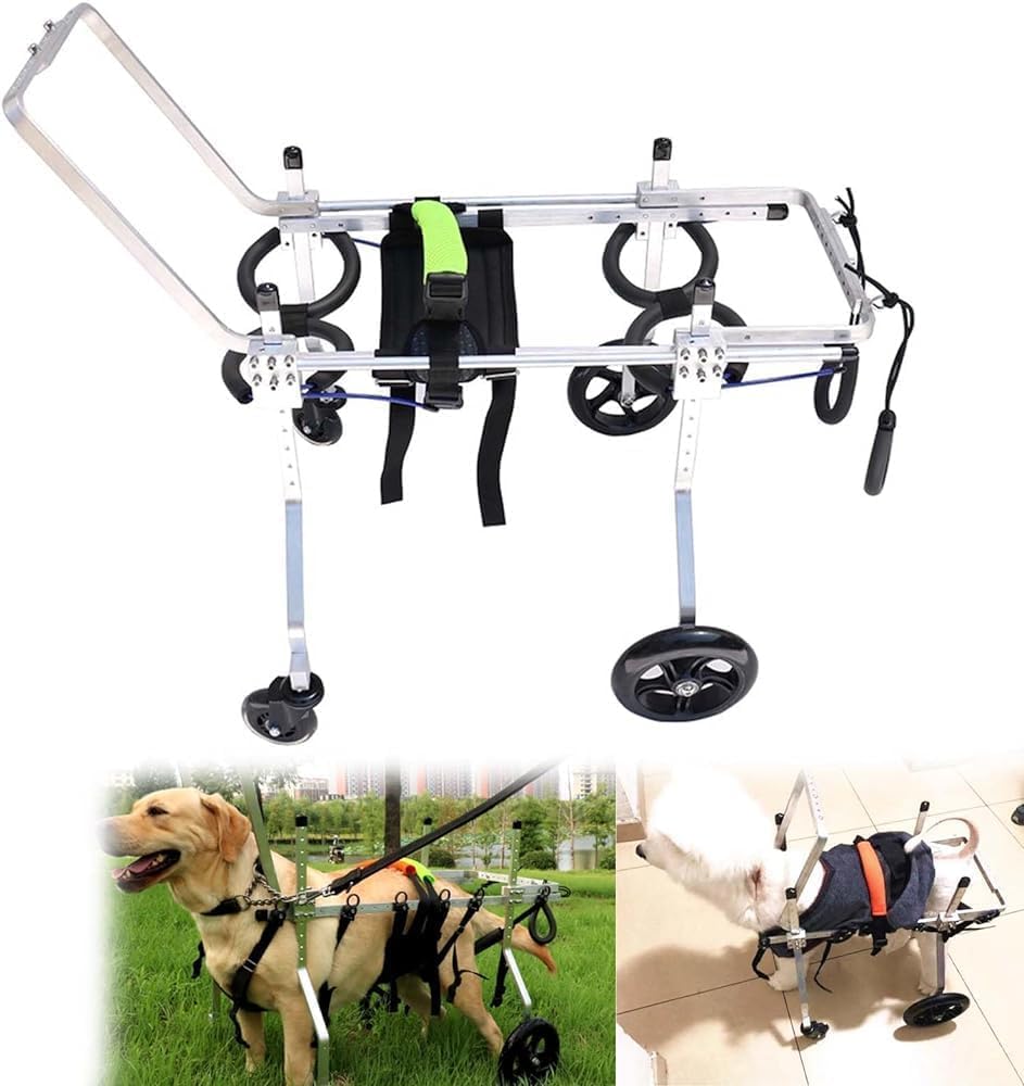 Fauteuil roulant pour chiens contre la paralysie des pattes S