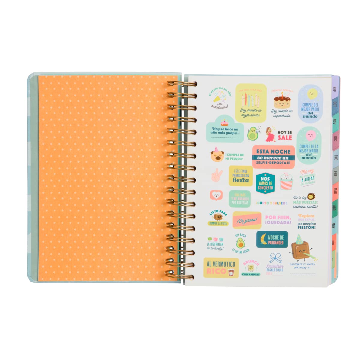 Mr. Wonderful , Wonder Agenda 2023-2024 Diaria Azul, Every Day Can Be My Day (Spanish version), multi-coloured - Image 3