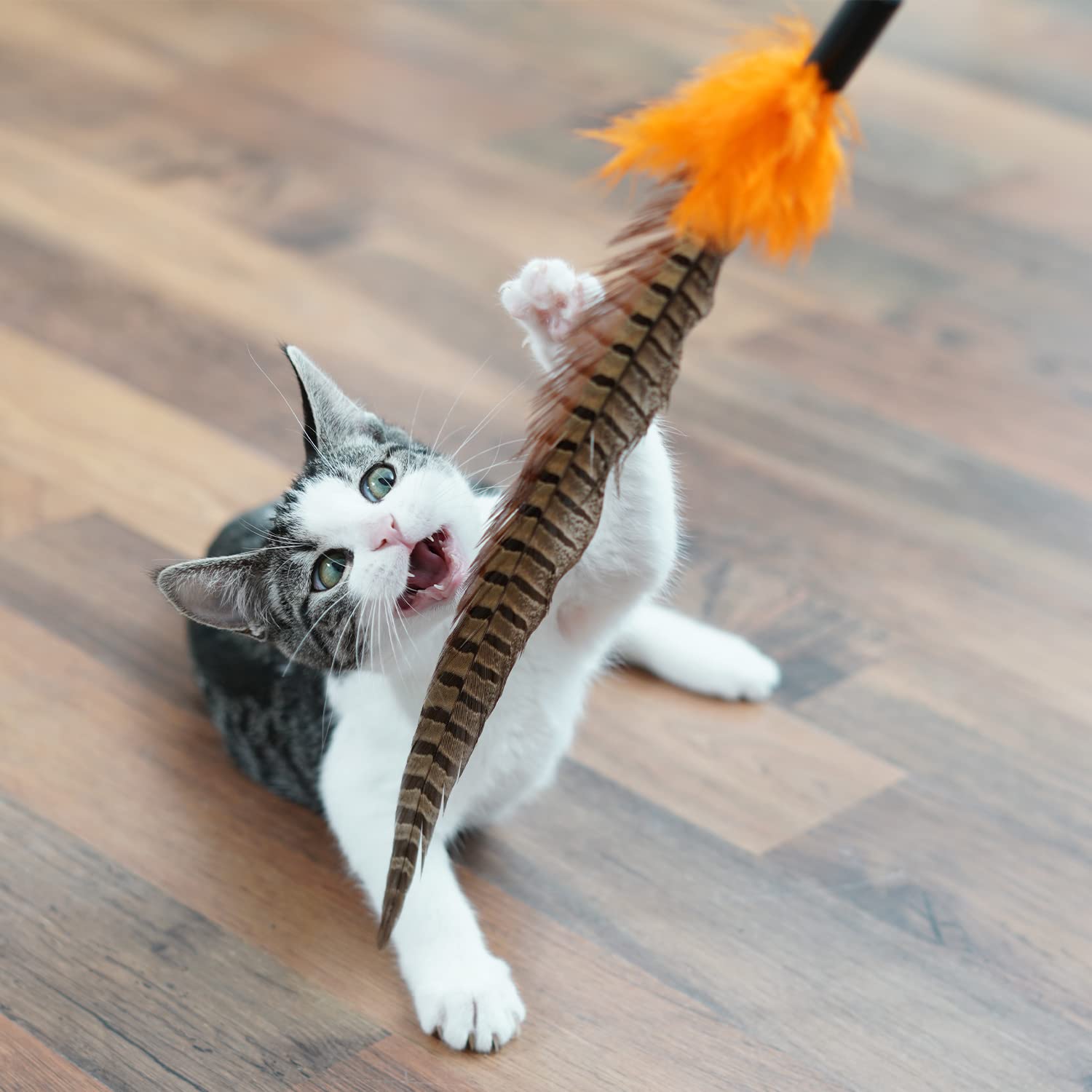 Katzenspielzeug mit Feder | Birdy | Interaktiver Federstab | Federwedel | 3er Pack