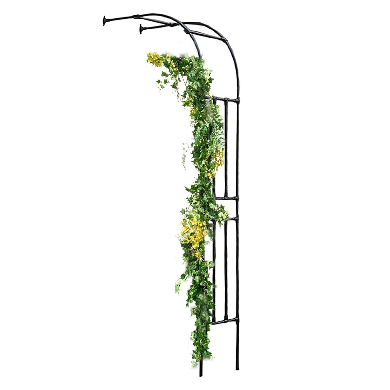 Pergola pour plantes grimpantes d'extérieur et arche de jardin demi-latérale noir