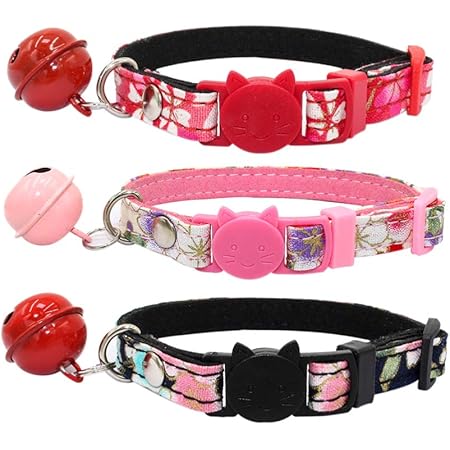 xs cat collar