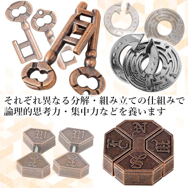 Amazon.co.jp: 知恵の輪 大人 パズル 5個セット 高難易度 メタルパズル