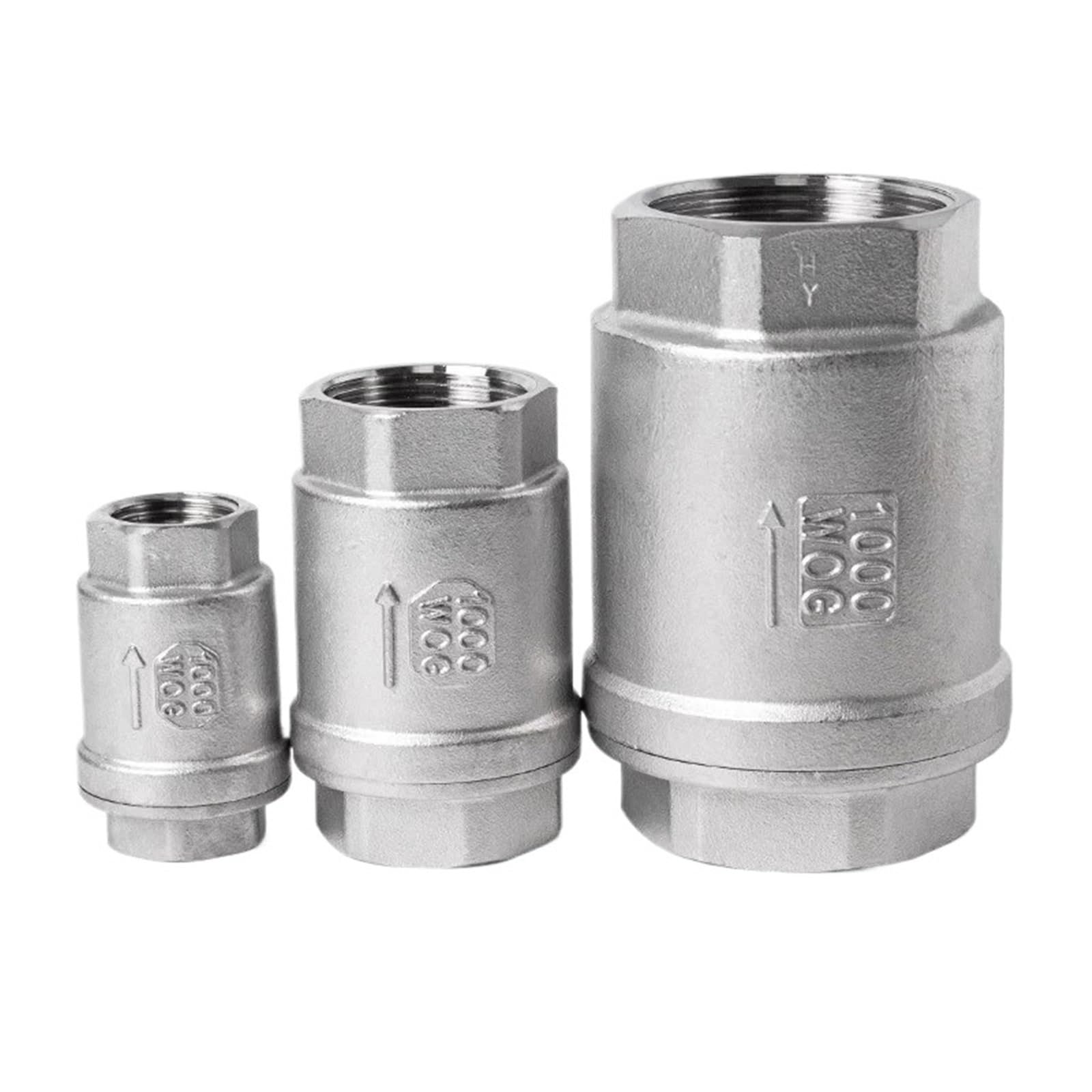 Dkgnyxnplj 1 304/316 Stainless Steel Spring Check Valve /4"-2" Dn15-25(1",Ss316l)