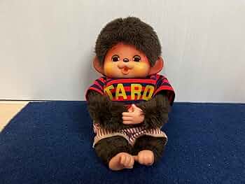 61qd2T4XsXL._AC_UF350,