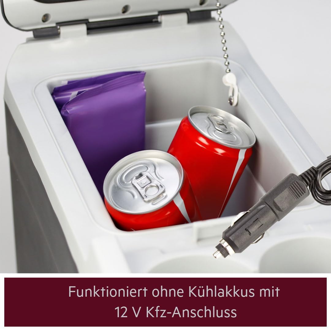 AEG Automotive Board-Bar BK 6 Thermoelektrische Kühl- und Warmhaltebox 6 Liter, 12 Volt für Auto und Steckdose, anschnallbar im PKW