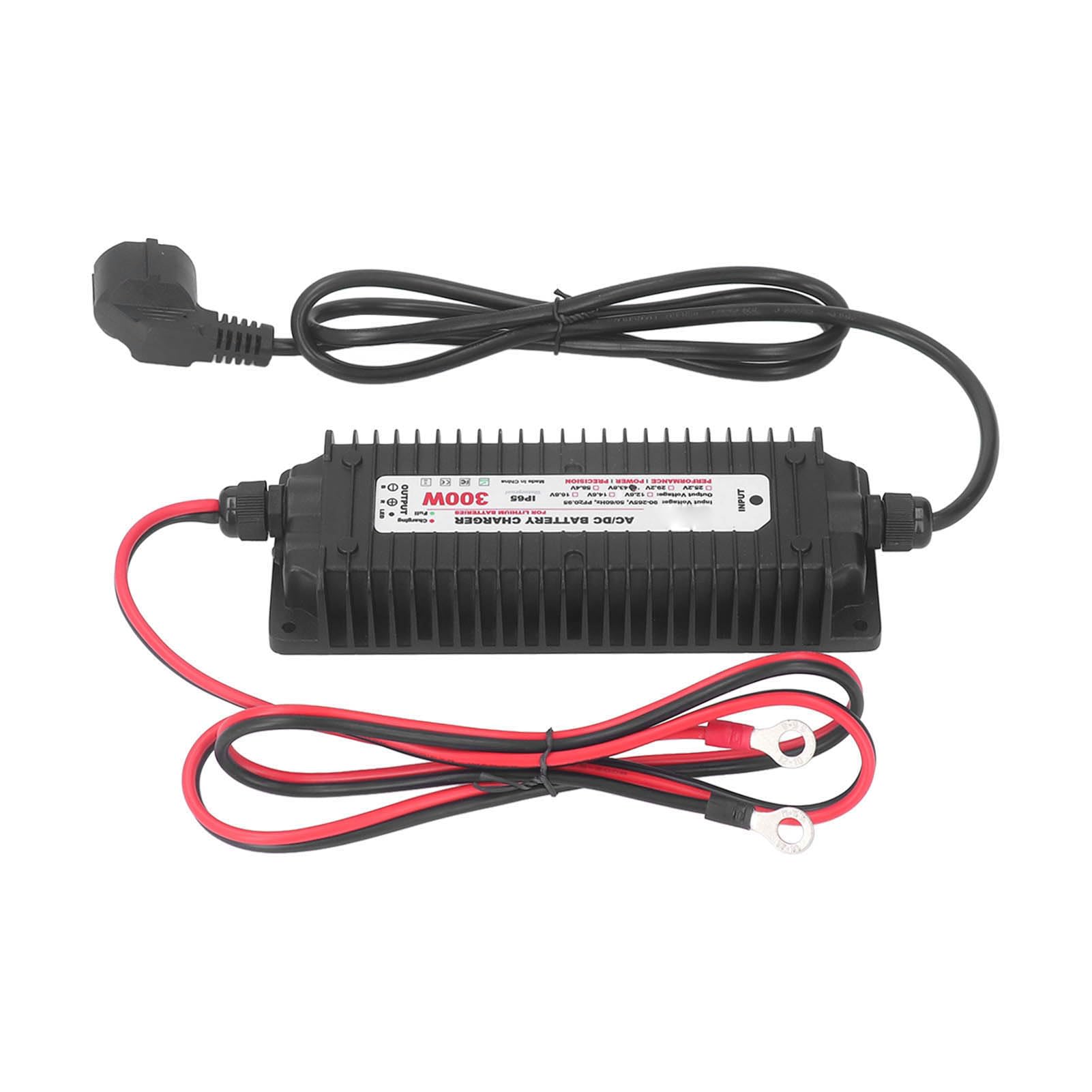 Fafeicy Caricabatterie Al Litio Caricatore Caricatore Agli Ioni di Litio 43,8 V 6,7 A 300 W IP65 Impermeabile con Stato LED per Apparecchiature di Veicoli (Spina europea)