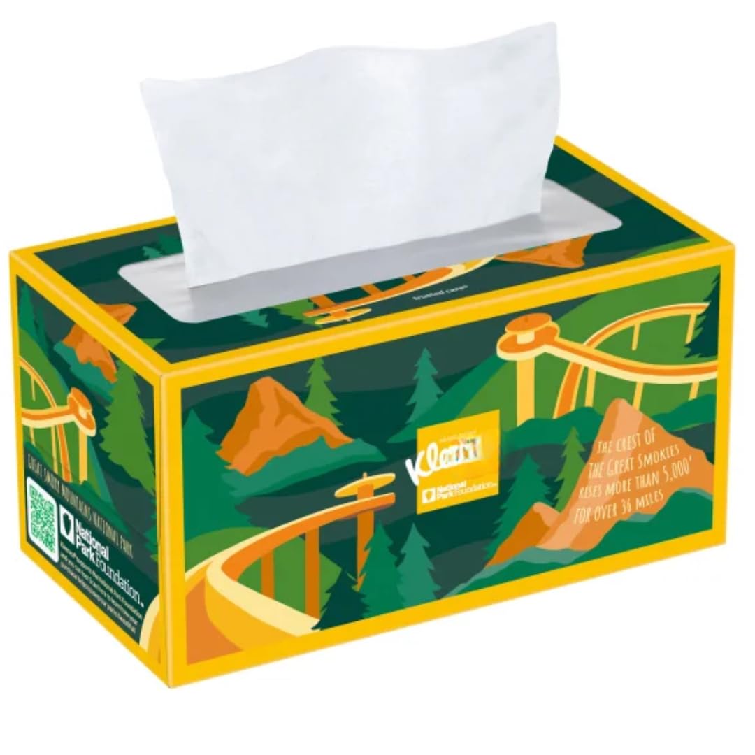 Facial Care Tissues, 2-Ply, 230 Count, 10 Pack (2 Pack)