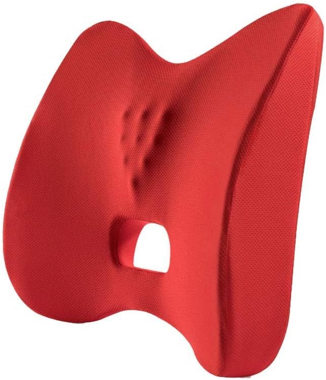 Firm Lumbar Pillow for Lower Back and Spinal Support at Work, Office, or Home, Cushion for Back Support, Correct Posture, Proper Positioning(White-Dinosaur Doodle4)