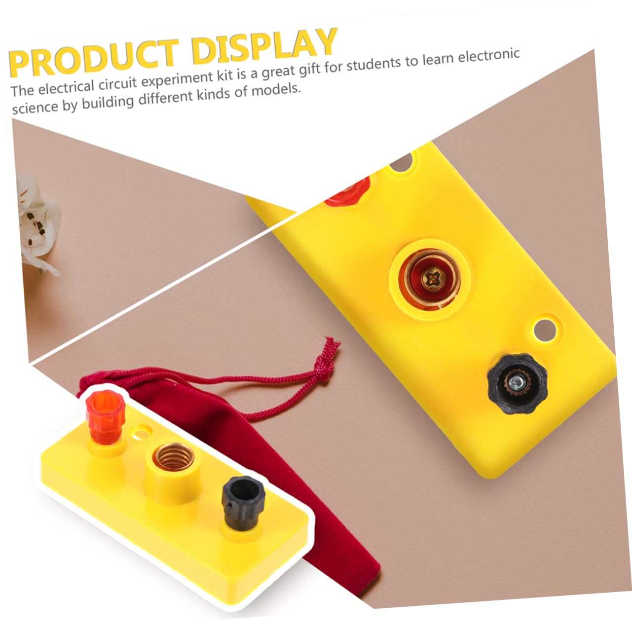 NUOBESTY 4 Ensembles Petit Porte-lampe Expérience Titulaire Enfants Plusieurs Douille D'ampoule Support De Lampe En Plastique Douilles Porte-ampoule Couleur Aléatoire 5 Pièces * 4