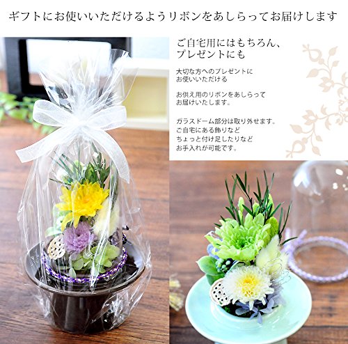 Amazon｜花由 プリザーブドフラワー お供え用ガラスドーム Sサイズ 緑