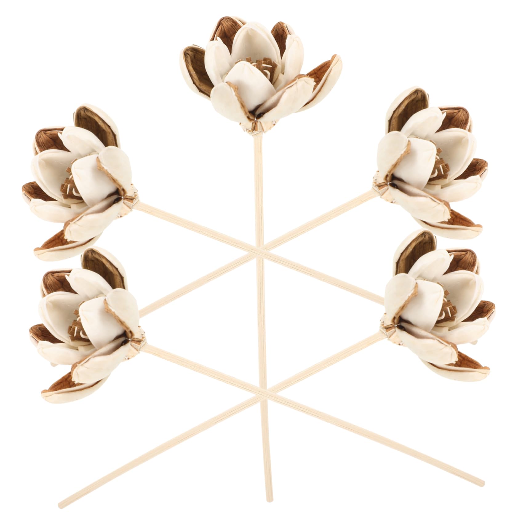 SEWACC 25stücke Teiliges Aromatherapie Diffuser Sticks Elegante Duftstäbchen Für Raumduft Für Büro Schlafzimmer Wohnzimmer Und Badezimmer Wiederverwendbar Transparent