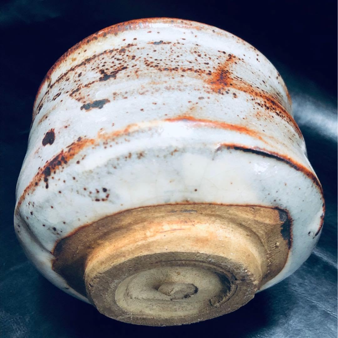 膳所焼 窯元 陽炎園 造 淡海ぜぜ 色絵秋草茶碗 共箱 茶道具 抹茶碗