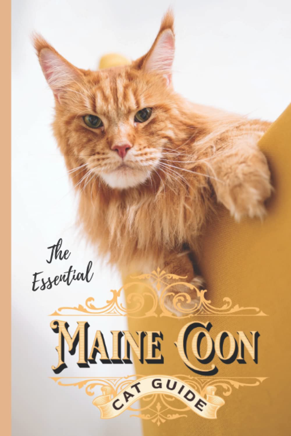 Maine Coon Cat Guide: The Essential Maine Coon Guide