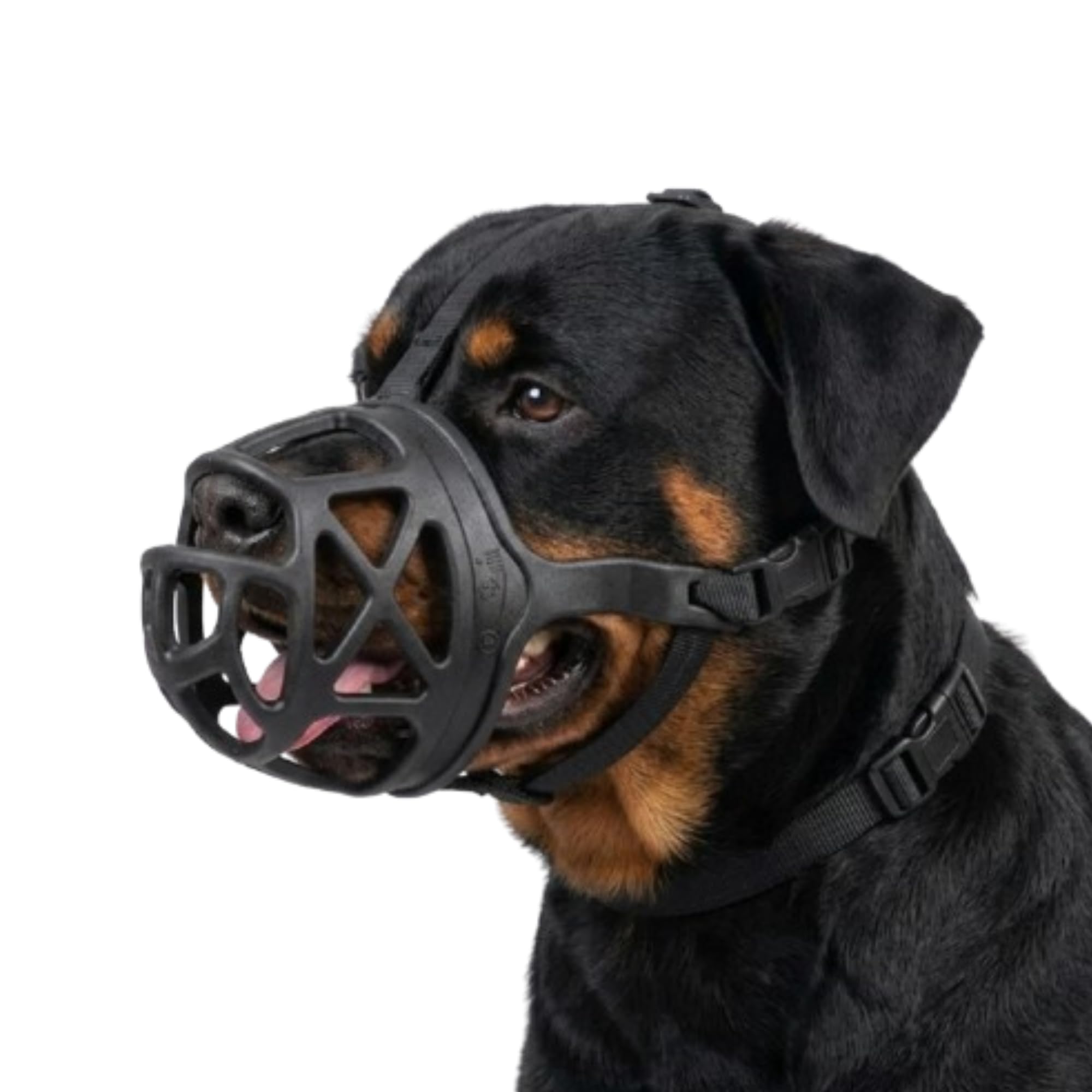 Adjustable Dog Muzzle Cum Mouth Cover- (Xtra Large, Black) Dogs for Great Dane/St Bernard/Rottweiler (X-Large)-image-34