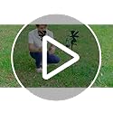 Fairy Garden Accessories Outdoor Lawn Ornaments 1 Pair - Solar Lights Halloween Decorations Outdoor Garden Statue, Metal Stakes Decorative Figurines for Yard Decor, Patio (Type B Color-Shifting)