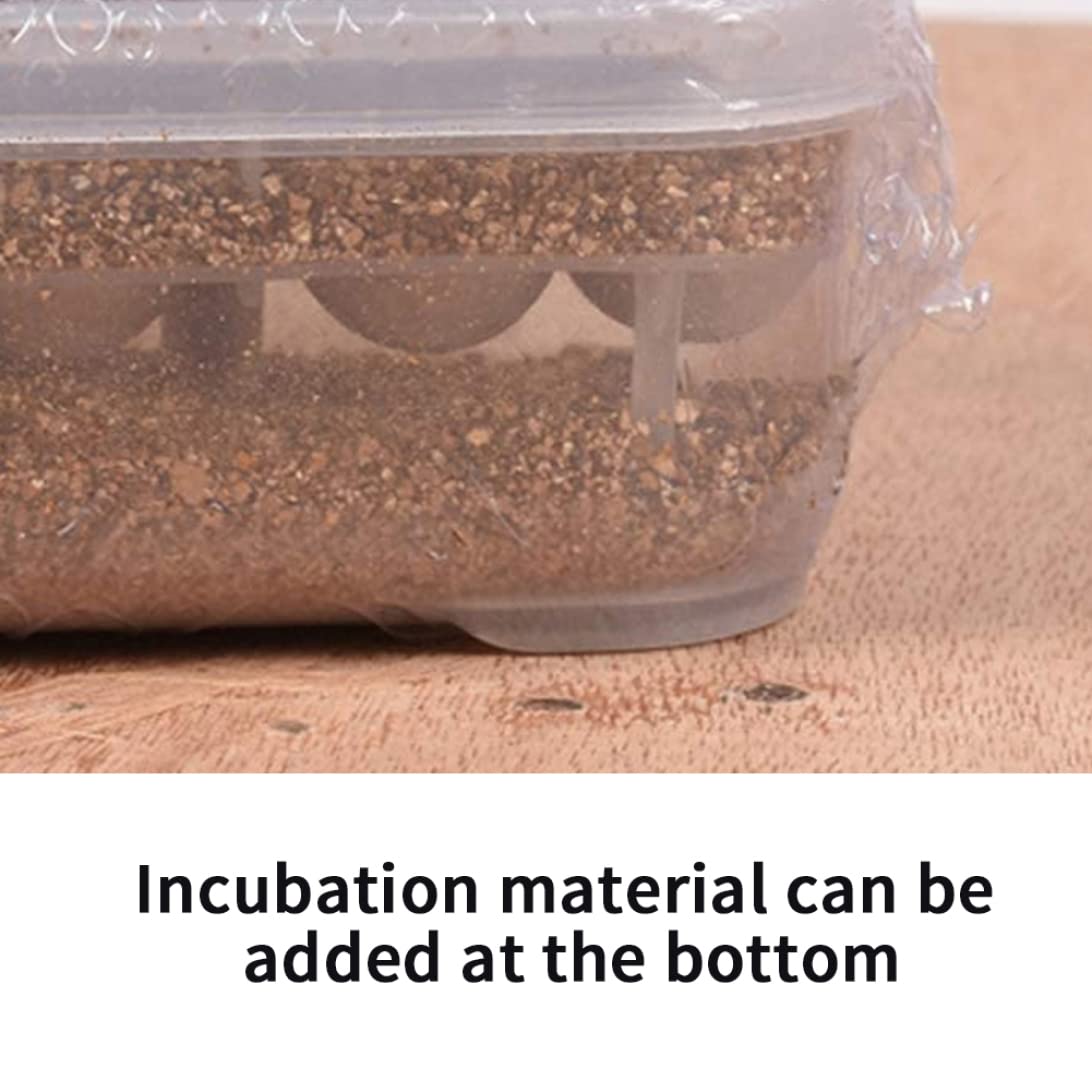 Incubadora de Reptiles, Caja de incubación de Reptiles Reptile Incubator Bandeja de Huevo Bandeja con 12 cuadrículas para Tortuga Gecko Lizards Mane