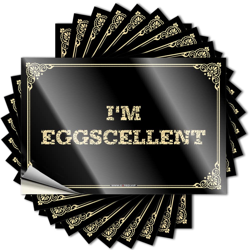 Sign Magnetic for Vehicle Funny House Decor I'm Eggscellent Heavy Duty | Whimsical Bathroom/Car Stickers and Decals(20X30CM-1Pcs)