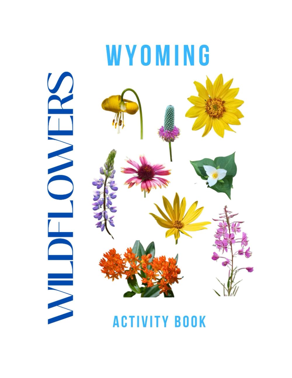 Wildflowers of Wyoming Activity Book: A Young Explorer's Field Guide to the Native Blooms of Wyoming (Wyoming Nature Explorer Series)