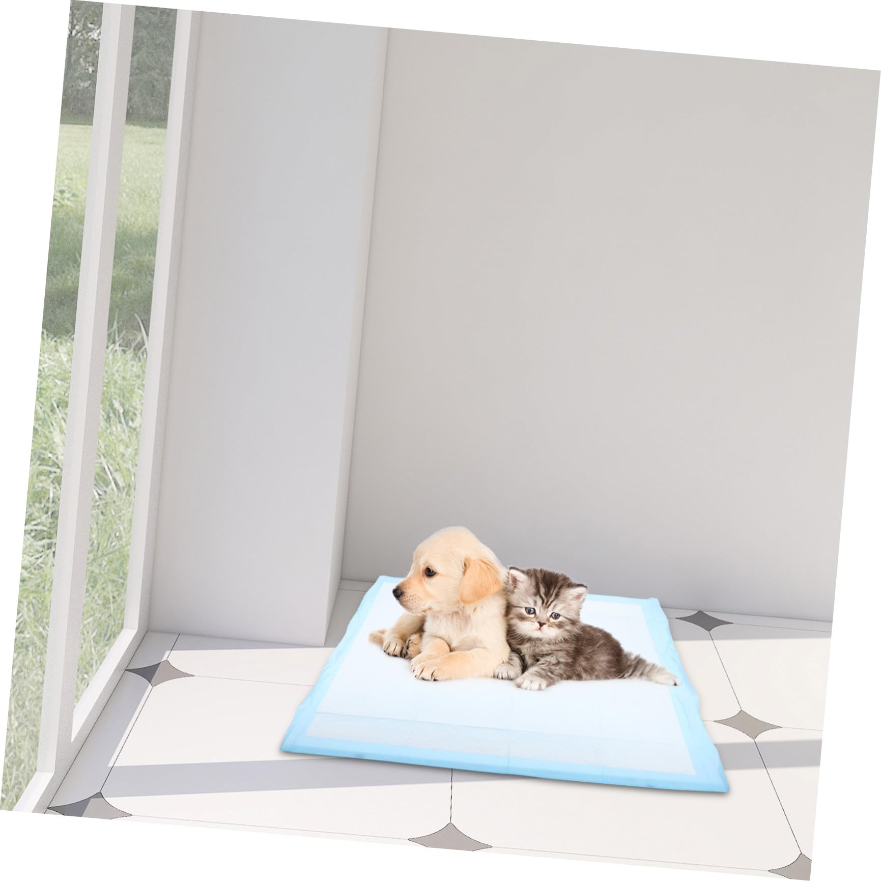 WOONEKY Alfombrillas Higiénicas Ultra Absorbentes para Perros para Entrenamiento de Cachorros Asistencia para Perros Mayores para Cajas Coches y Habitaciones