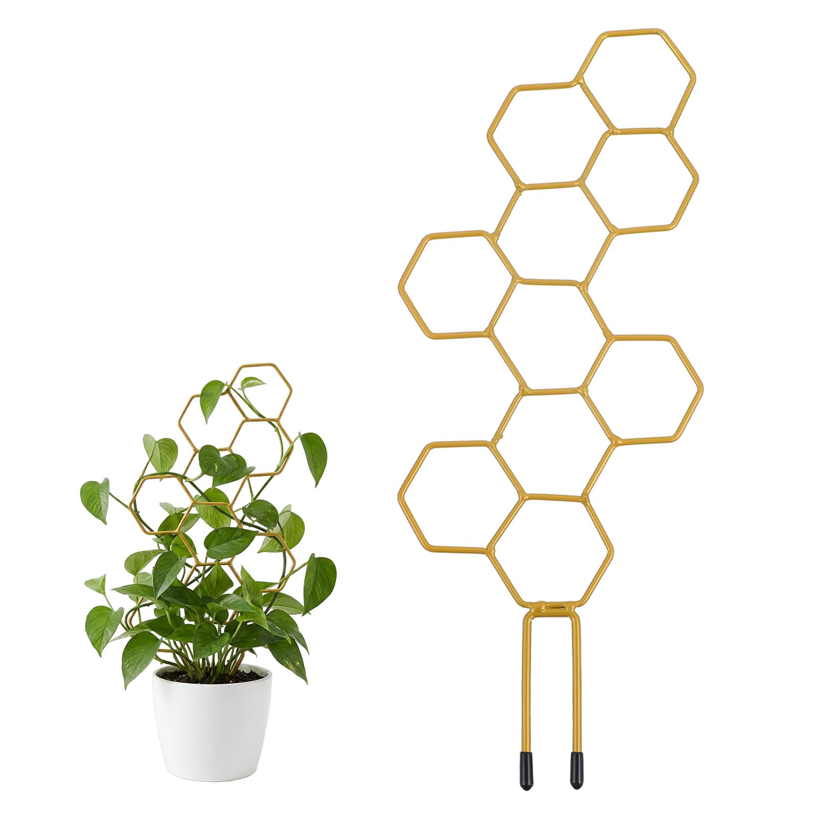 PEOVLVN Small Trellis for Potted Plants, 35cm Trellis for Climbing Plants Indoor Honeycomb Metal Pothos Plant Climber Support for Flower Hoya Pothos Houseplants — image 1