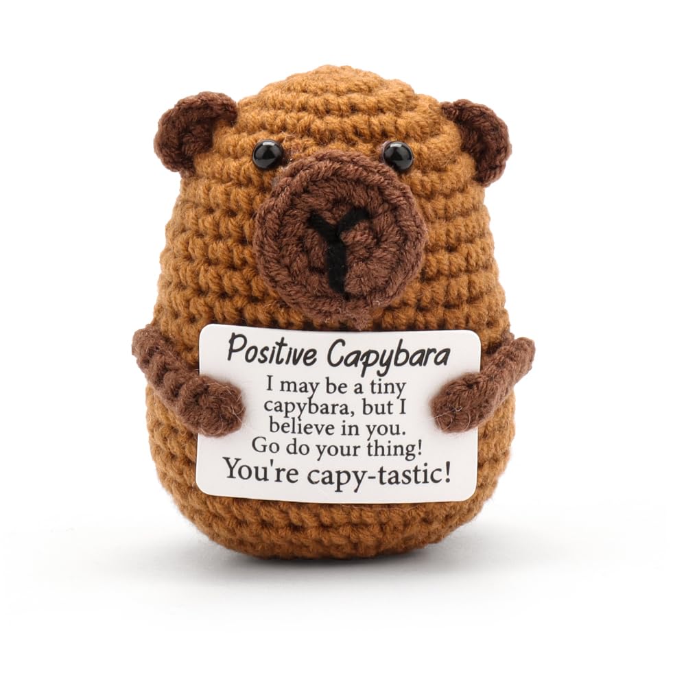 HUNGBAN Good Luck Gifts | Handmade Positive Crochet | Emotional Support Motivational | Funny Secret Santa Office Joke Gifts or Cheer Up Presents for friends