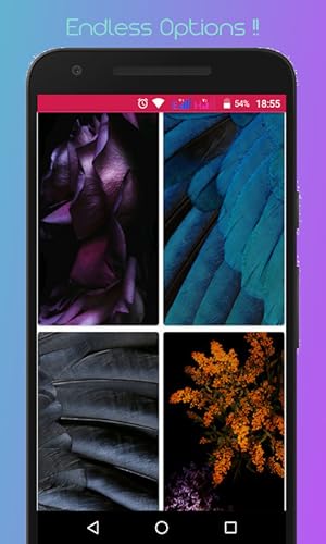 Wallpapers 4K