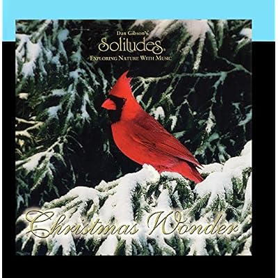 Christmas Wonder