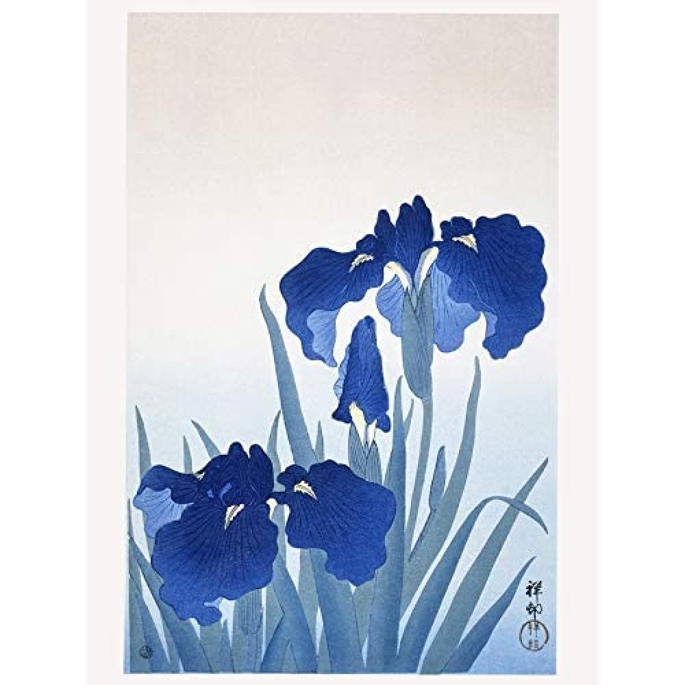 Wee Blue Coo Iris Flowers Ohara Koson Unframed Art Print Poster Wall Decor 12x16 inch
