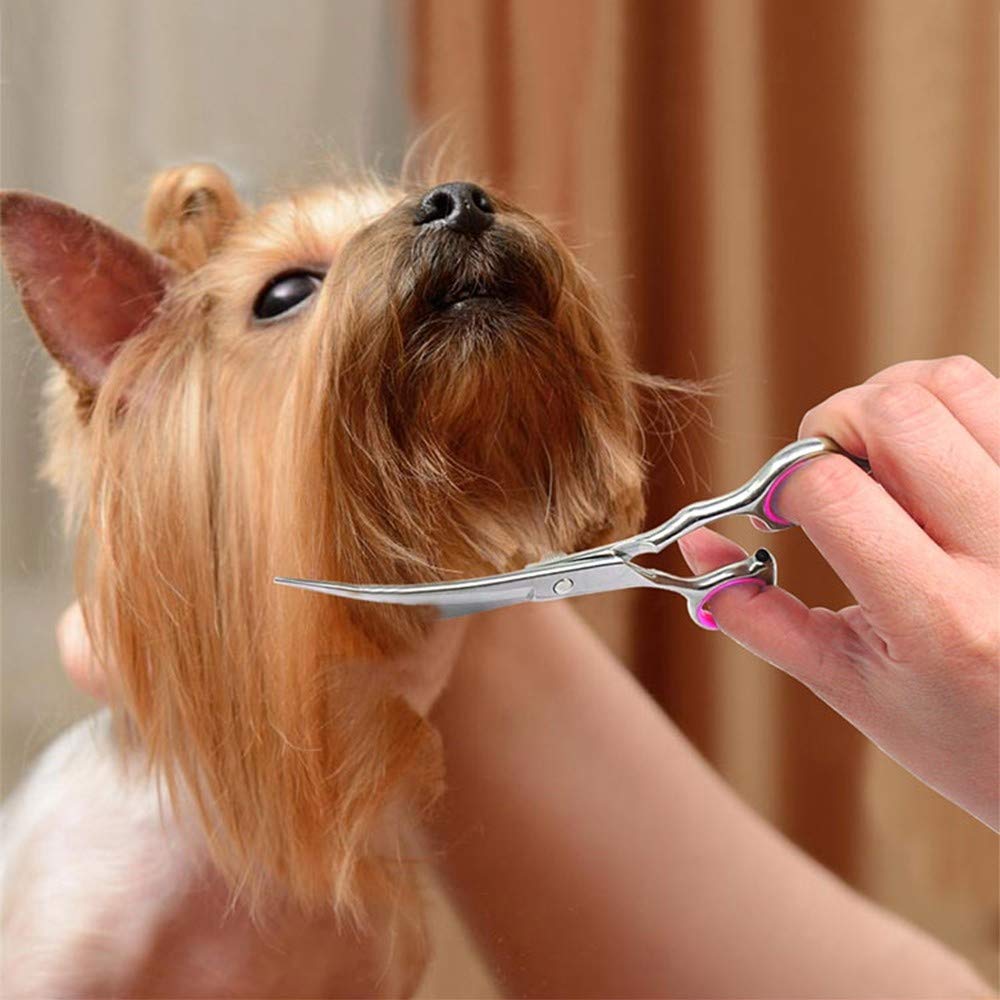 Ciseaux de Toilettage pour Chiens, 6 Pouces, Acier Inoxydable 304, Réglable, Incurvé, Ambidextre, Pour la Coupe de cheveux des Animaux de Compagnie