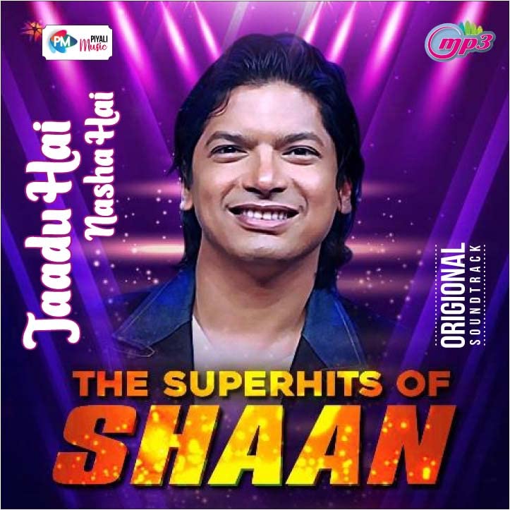 Pen Drive - Shaan HIT // Bollywood // USB // CAR Song // 420 MP3 Audio // 16GB-picture-28